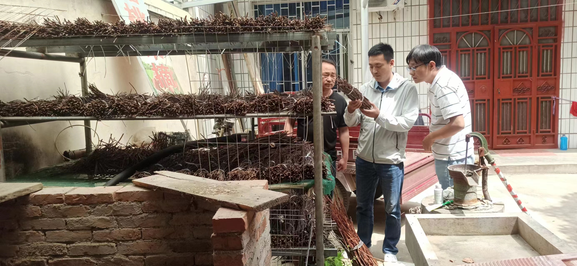 圖片29.png 圖片29.png